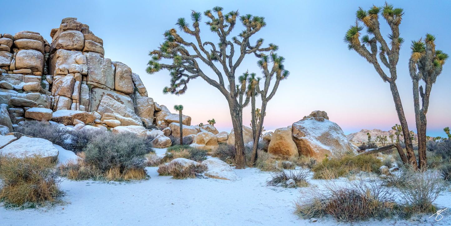 Winter Wonderland