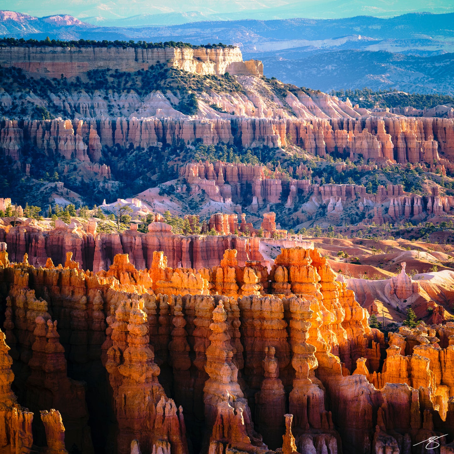 Bryce Canyon's Textures