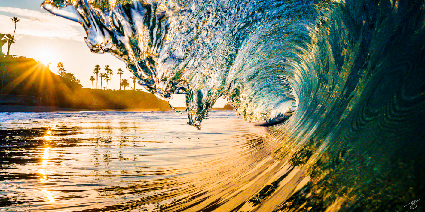 Waterline view of a crystal wave curling into a golden barrel at sunrise, sunbursts on the water and palm-lined bluffs in the background