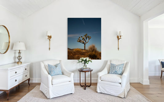 Desert Starlight – Fine Art Joshua Tree Astrophotography