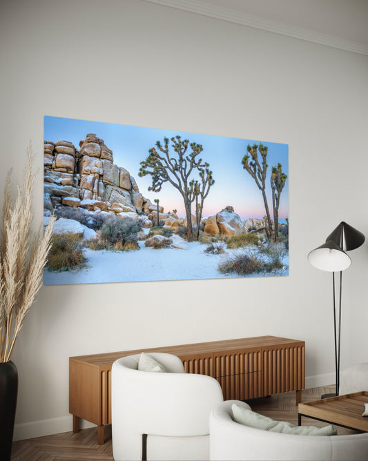 Winter Glow in Joshua Tree — Snow-Dusted Desert Panorama
