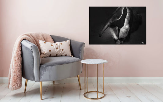 The Forager – Elegance in the Unseen