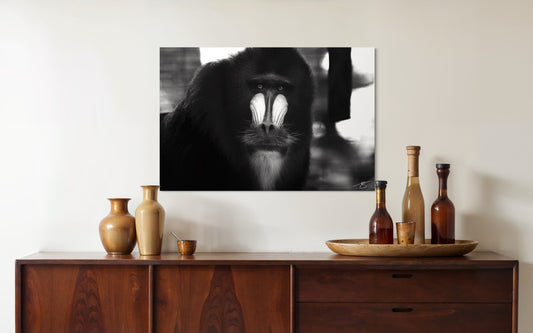 The Thinker – Echoes of Awareness