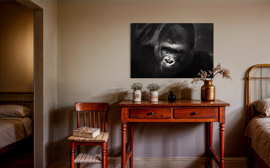 Sovereign – The Quiet Authority