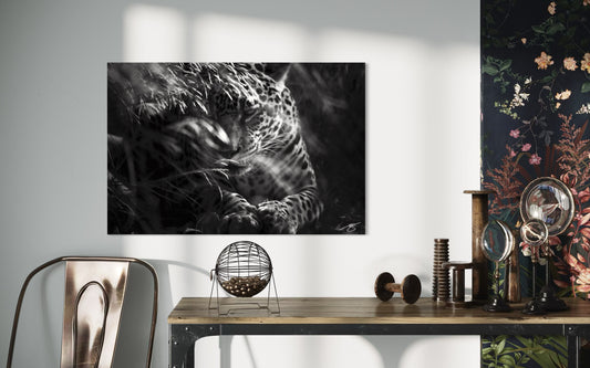 Veiled Instinct – The Watcher in Shadow