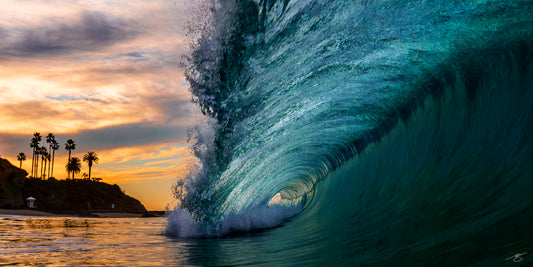 Glassy teal barrel wave curling at sunset with silhouetted palm trees and shoreline in Laguna Beach, California, captured from water level