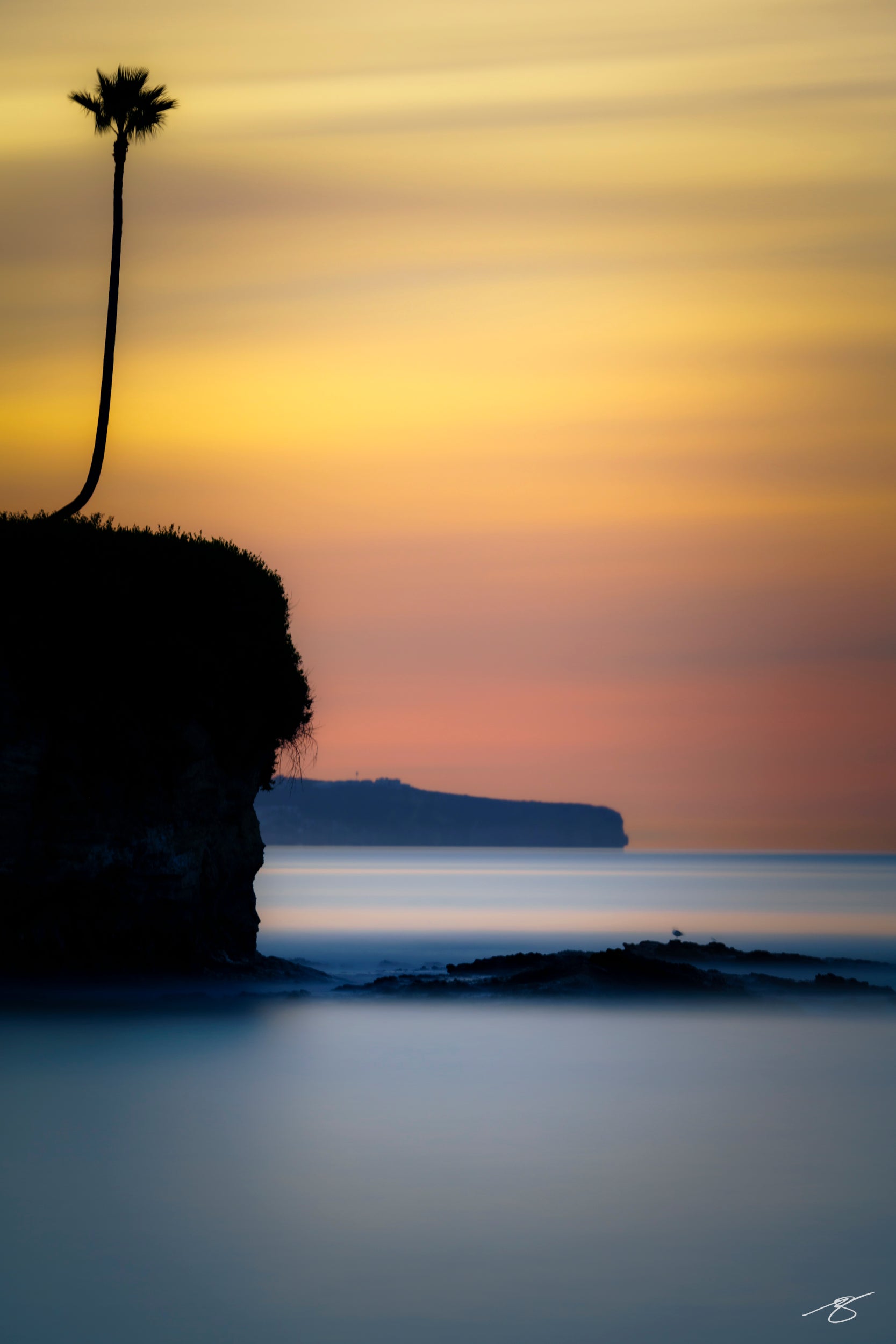Minimalist sunset seascape with palm tree and cliffs in Laguna Beach, fine art coastal photograph by Beau Jesse Johnston.