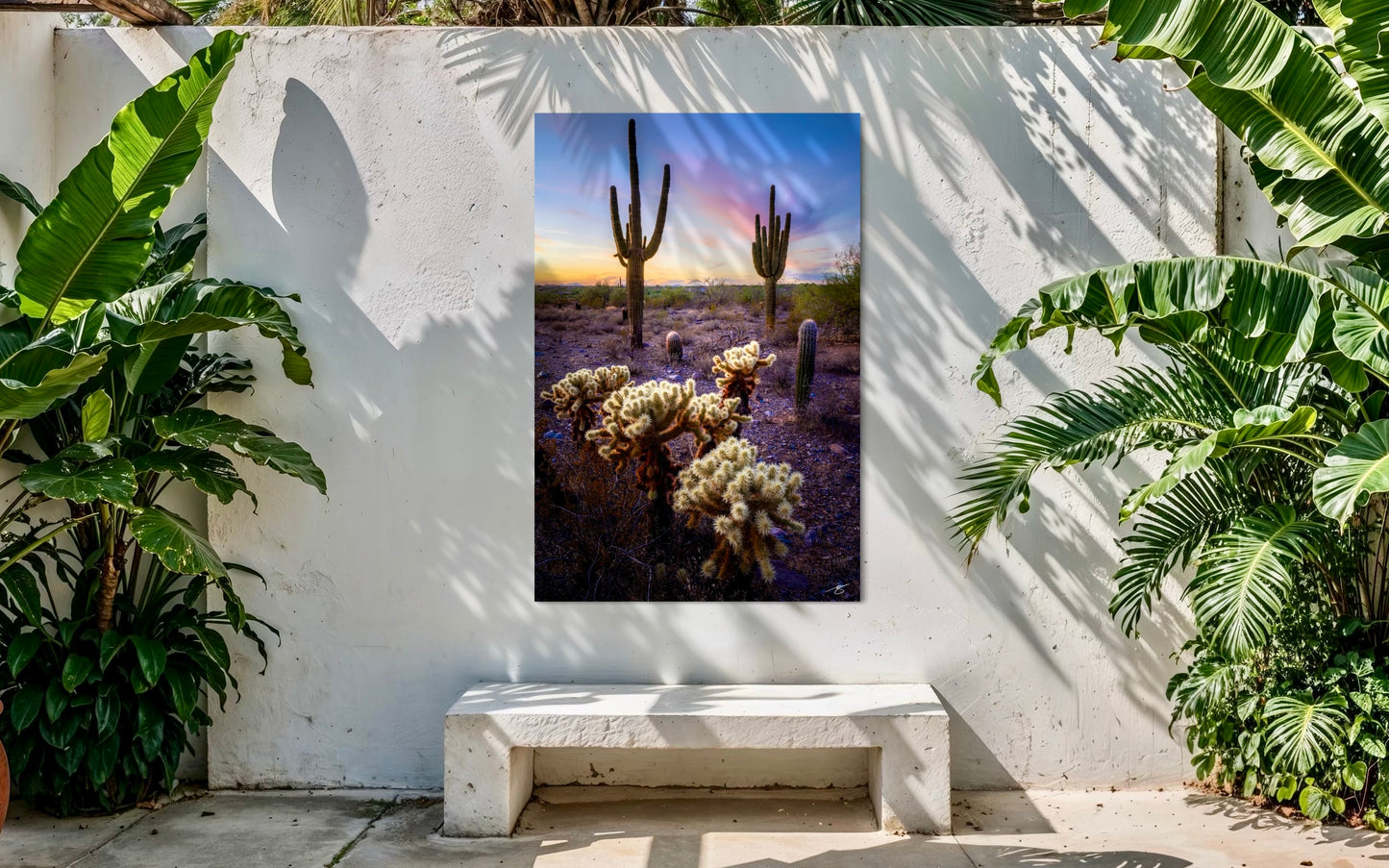 Desert Cactus Sunset – Saguaro & Cholla Glow in Sonoran Desert Fine Art Photography