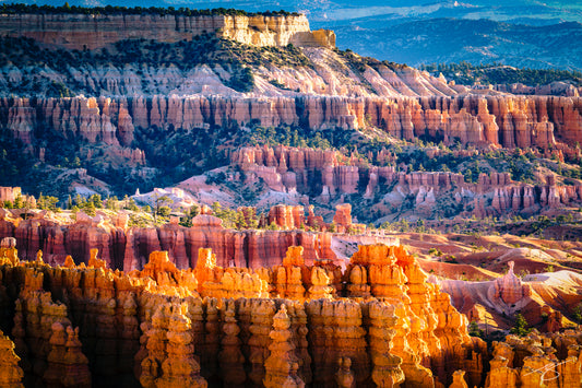 Golden sunrise over Bryce Canyon hoodoos in Utah – fine-art landscape photography by Beau Jesse Johnston.