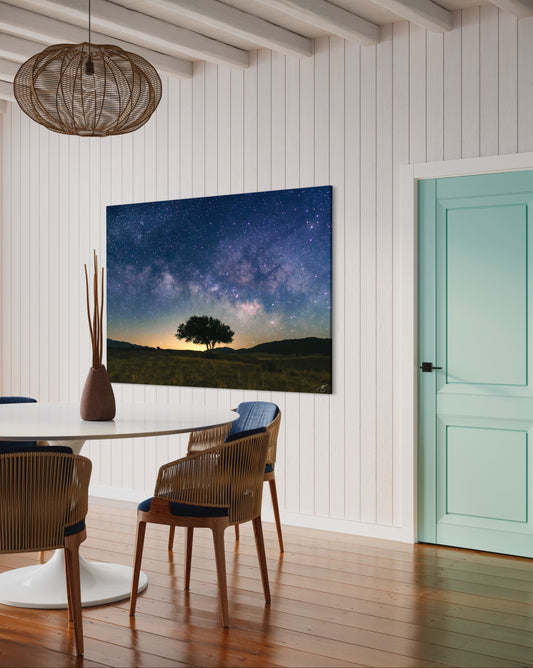 Milky Way Silence — Lone Tree Under a Billion Stars