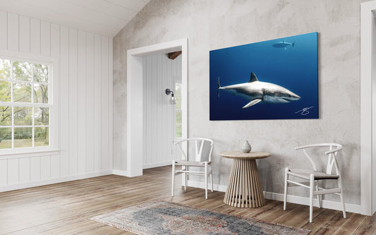 Apex Silence — Great White Shark Fine Art Photography Print