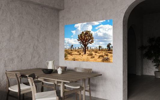 Guardian of the Mojave — Joshua Tree Fine Art Print