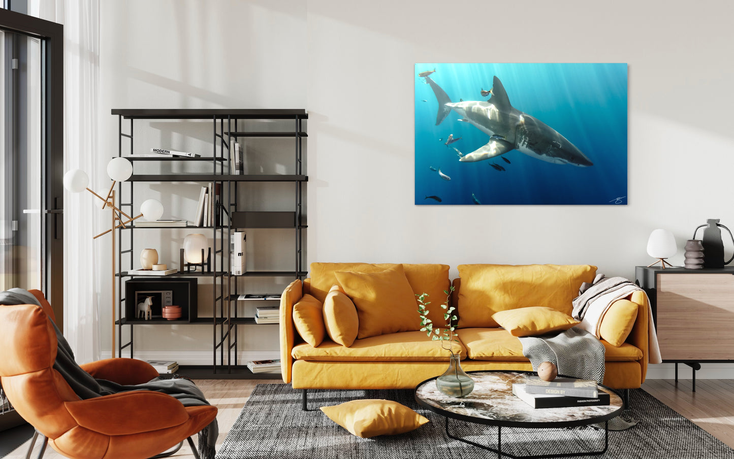 Sunbeams on the Apex — Great White Shark Fine Art Print