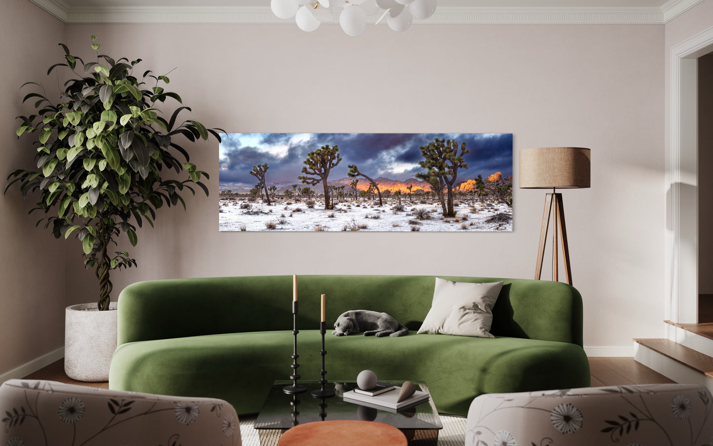 Winter Glow at Joshua Tree — Snowy Desert Panorama