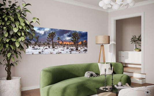Winter Glow at Joshua Tree — Snowy Desert Panorama