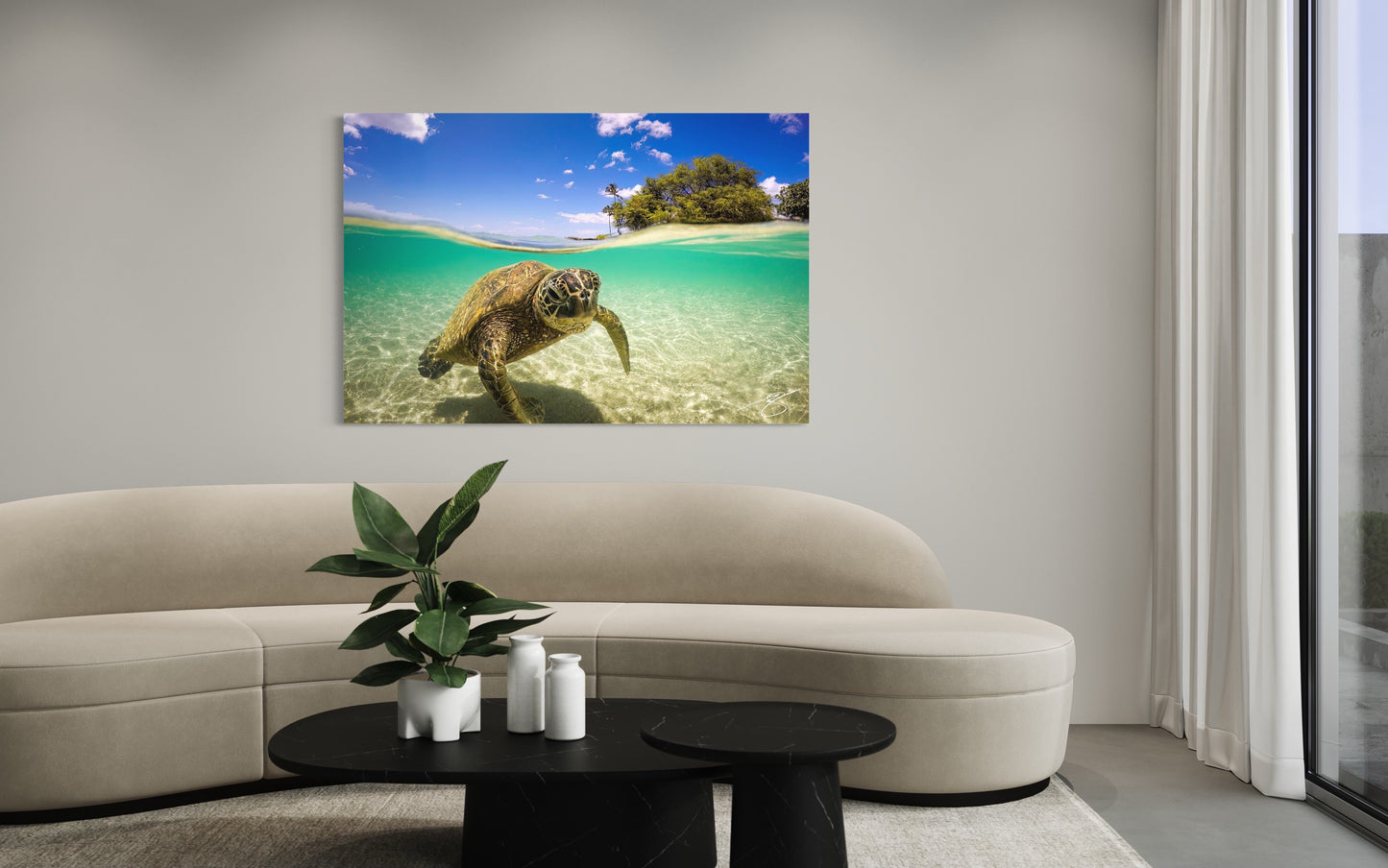 Honu in the Shallows — Sea Turtle Fine Art Photography Print