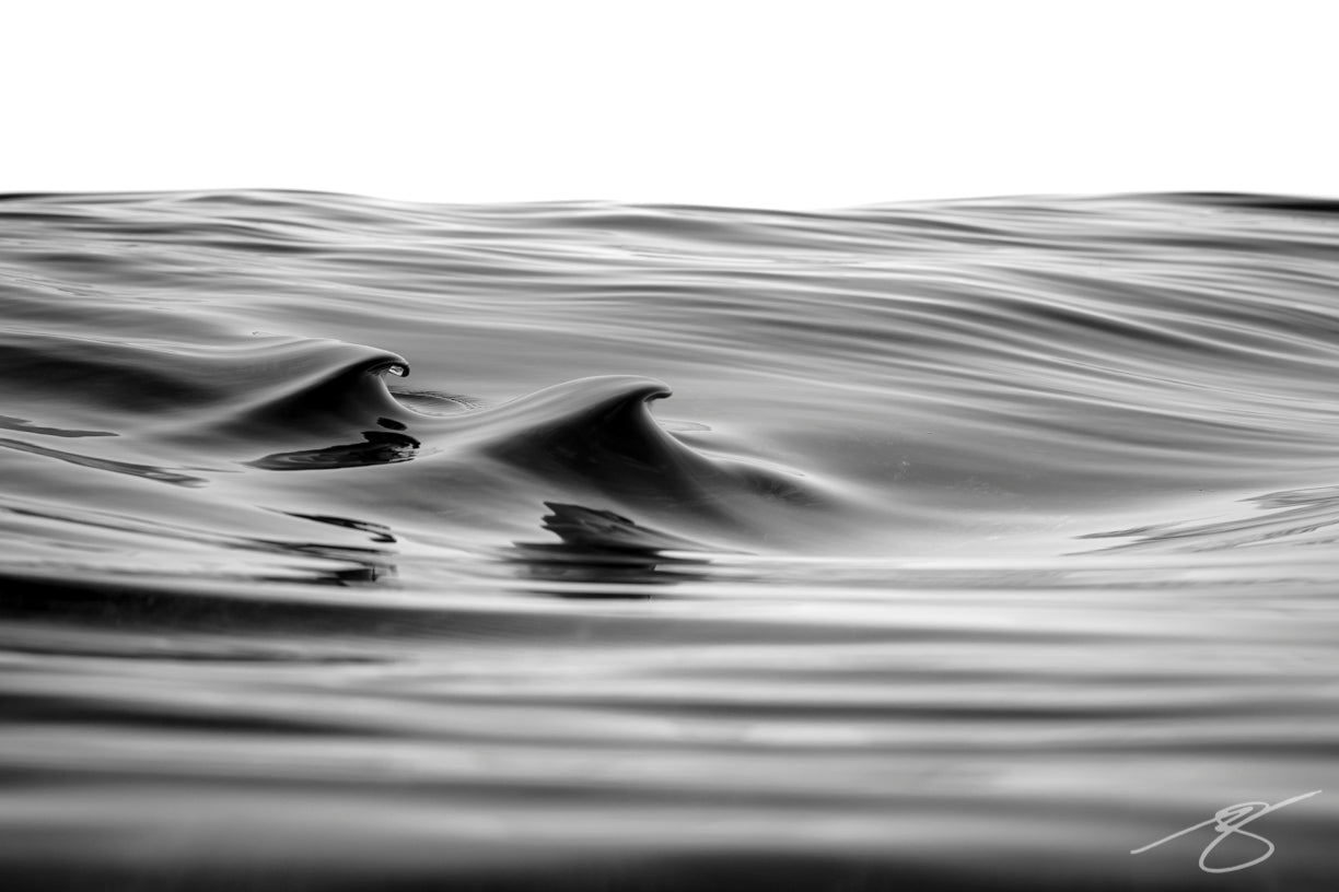Black-and-white close-up of glassy micro waves forming twin peaks on a calm ocean surface; minimalist seascape fine art photograph