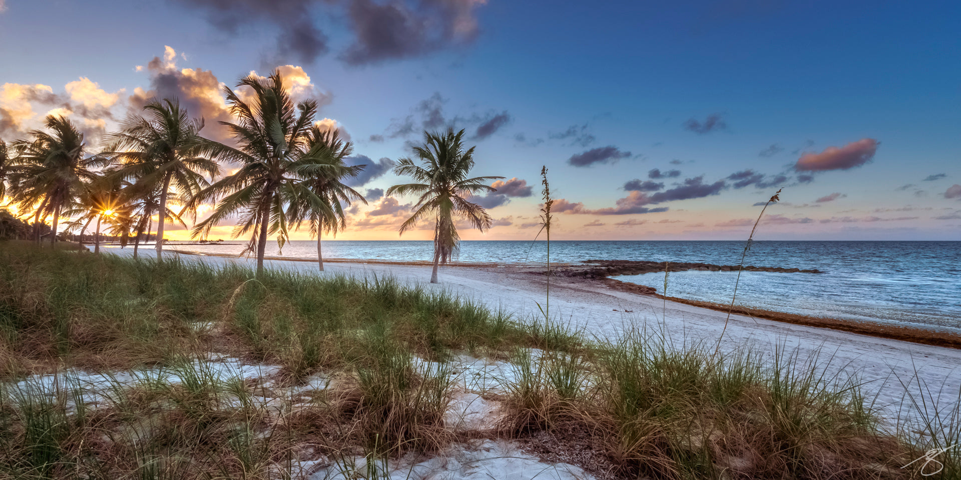 Panoramic sunrise on a tropical beach with palm trees, golden sunstar, white sand, sea grass, and calm blue ocean under pastel clouds