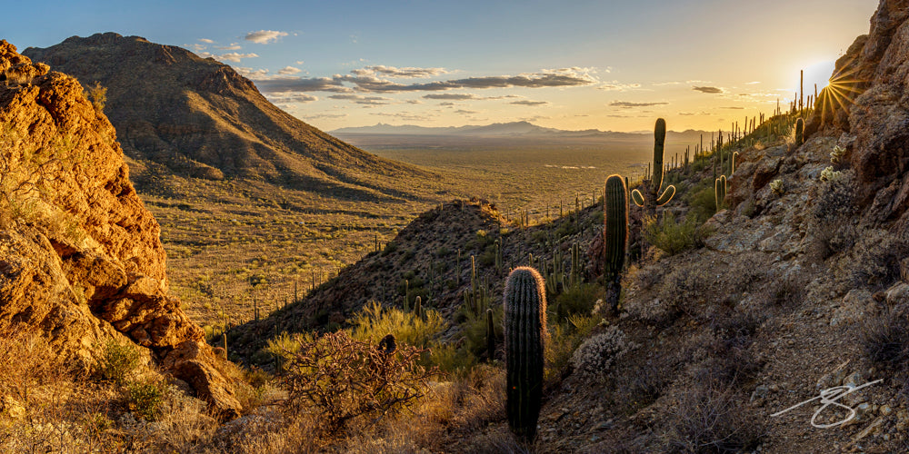 Golden hour sunstar lighting a wide Sonoran valley filled with saguaro cacti, rocky cliffs on both sides, distant mountains and a glowing sky