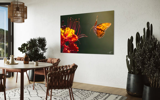 Butterfly in Flight Toward Vibrant Desert Bloom – Fine Art Macro Nature Photography