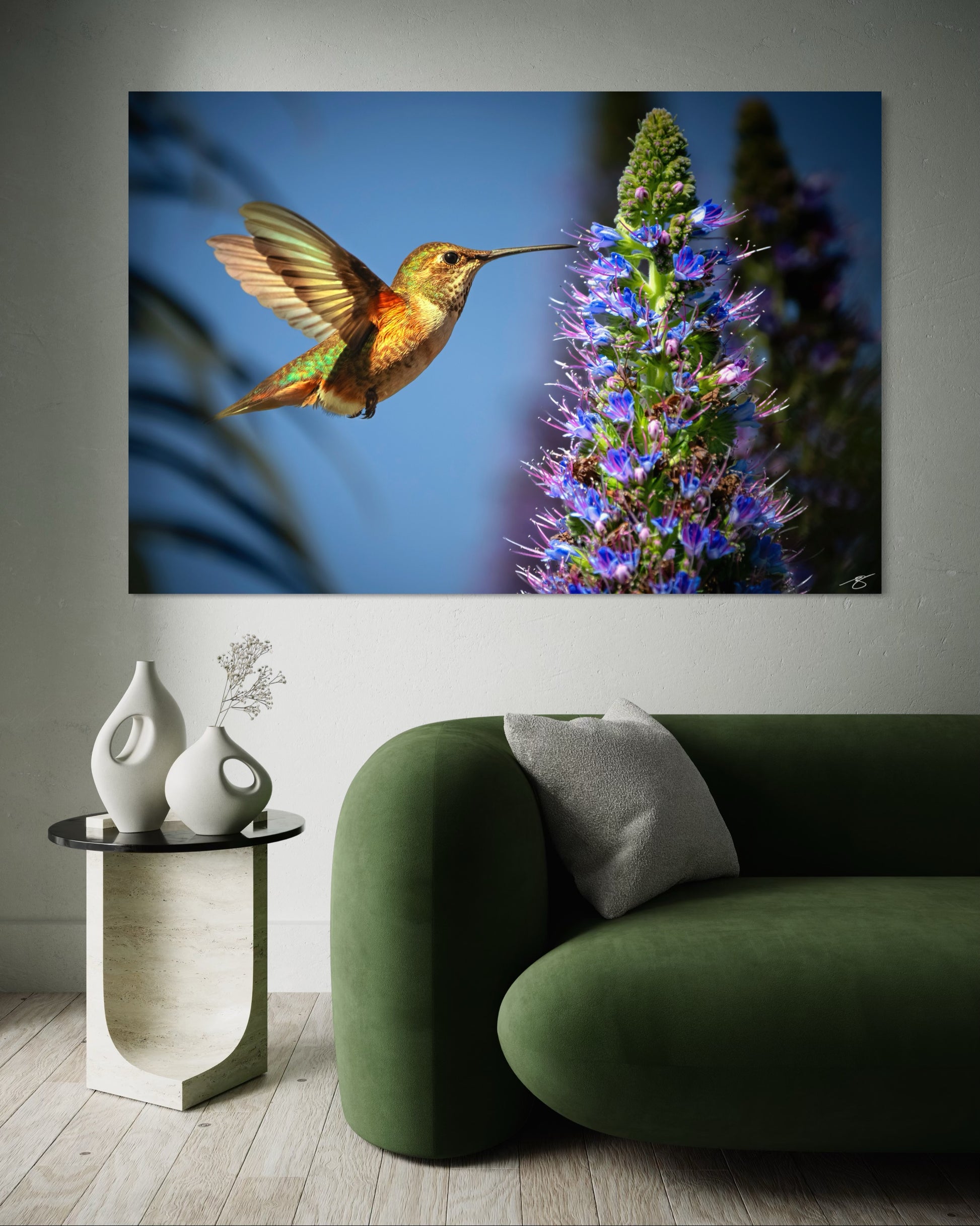 A hummingbird hovers beside a vibrant Pride of Madeira bloom, captured in crisp macro detail. A striking wildlife photograph showcasing color, motion, and natural light.