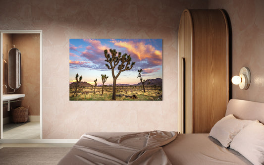 A vibrant Joshua Tree National Park sunset with pastel skies and iconic yucca silhouettes. A fine art desert landscape perfect for modern Southwest interiors.