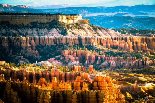 A vivid sunrise casts warm golden light across the towering hoodoos of Bryce Canyon National Park in Utah. The photo showcases layered red rock formations, deep canyons, scattered pines, and distant blue plateaus, highlighting the dramatic textures of the desert landscape.