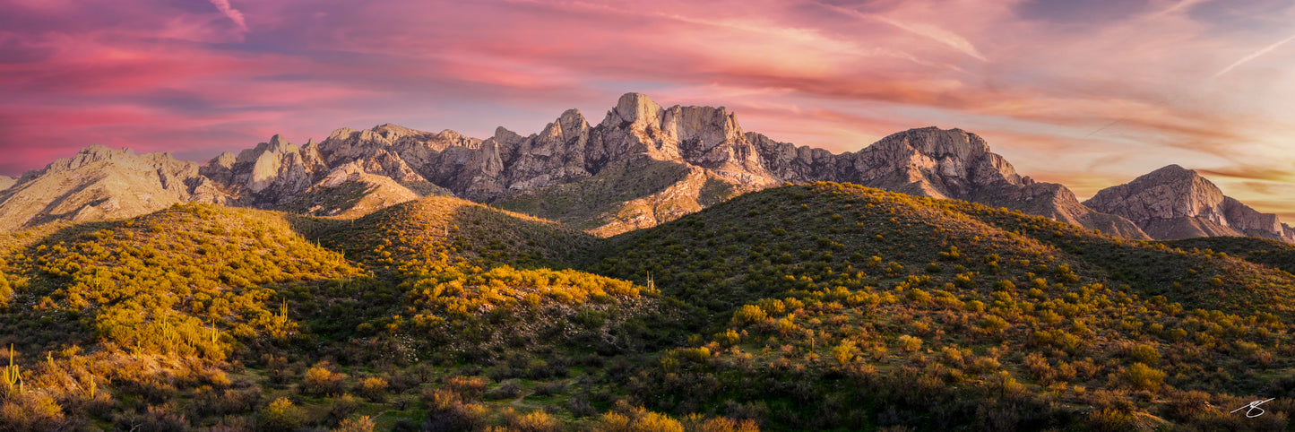 A panoramic desert landscape of the Catalina Mountains near Tucson, Arizona captured at sunset. Golden light illuminates rugged peaks and rolling Sonoran Desert hills dotted with saguaros while pink and orange clouds glow across the evening sky.