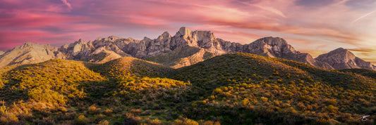A panoramic desert landscape of the Catalina Mountains near Tucson, Arizona captured at sunset. Golden light illuminates rugged peaks and rolling Sonoran Desert hills dotted with saguaros while pink and orange clouds glow across the evening sky.