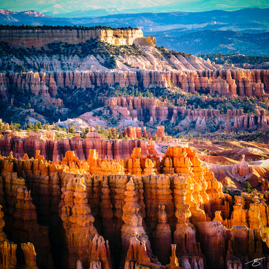 Bryce Canyon's Textures