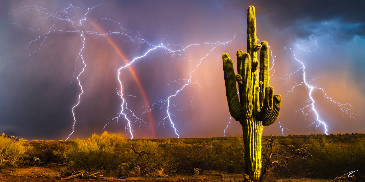 Desert Voltage