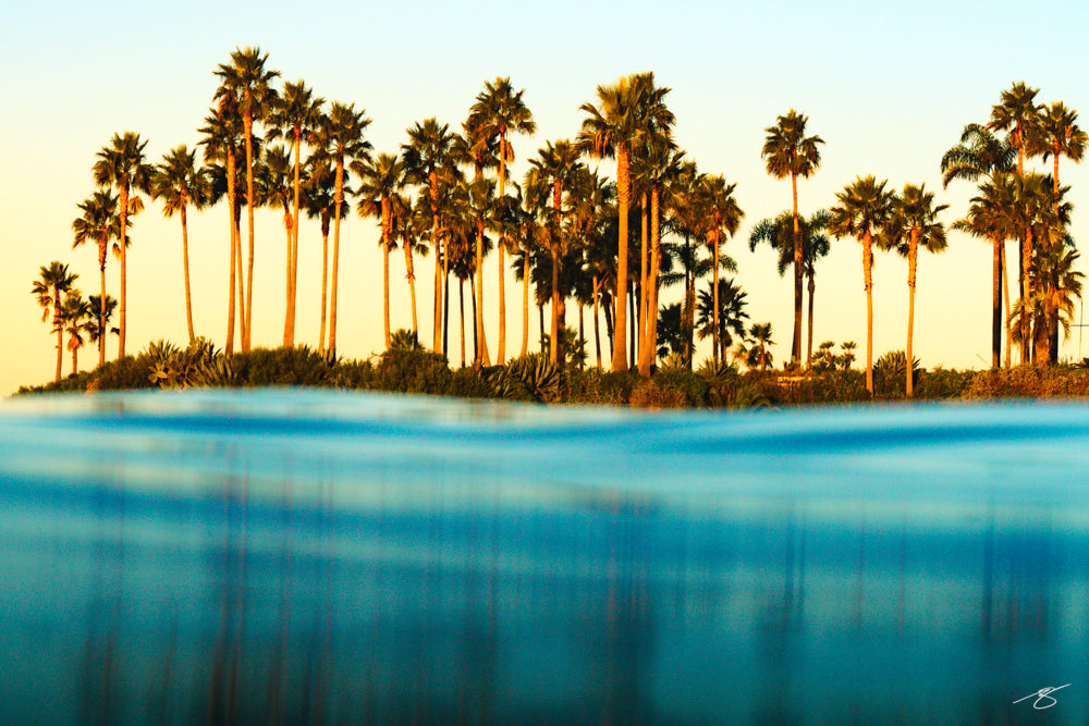 Golden sunset reflecting on ocean with palm trees in Laguna Beach, fine art coastal photograph by Beau Jesse Johnston.