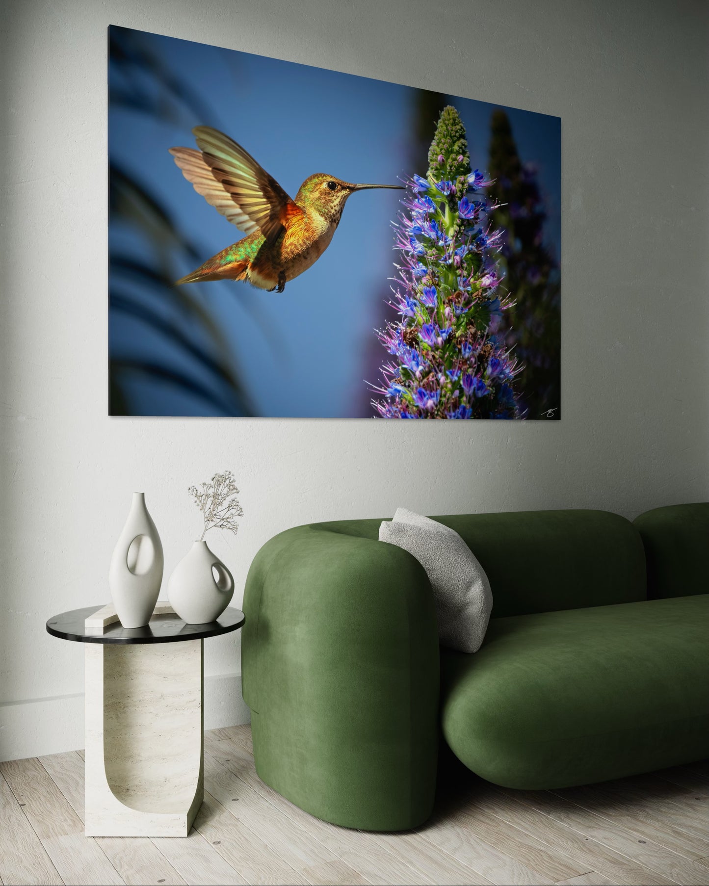 Hummingbird feeding from a vibrant Pride of Madeira flower in warm sunlight, captured in detailed macro wildlife photography.