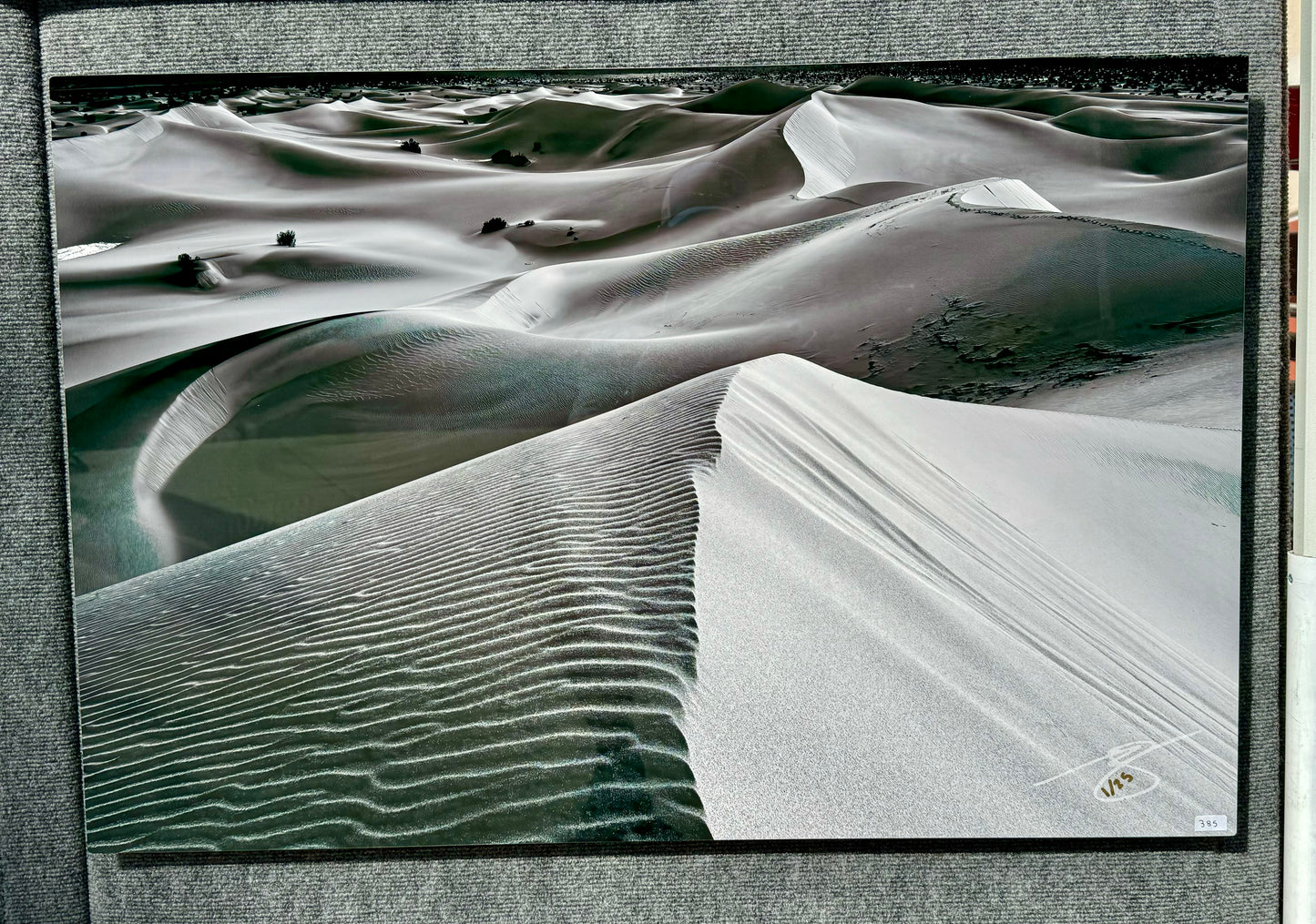 "Sun Kissed Dunes (Black & White Edition)" 24x36" Metal (Local Pick-up only)