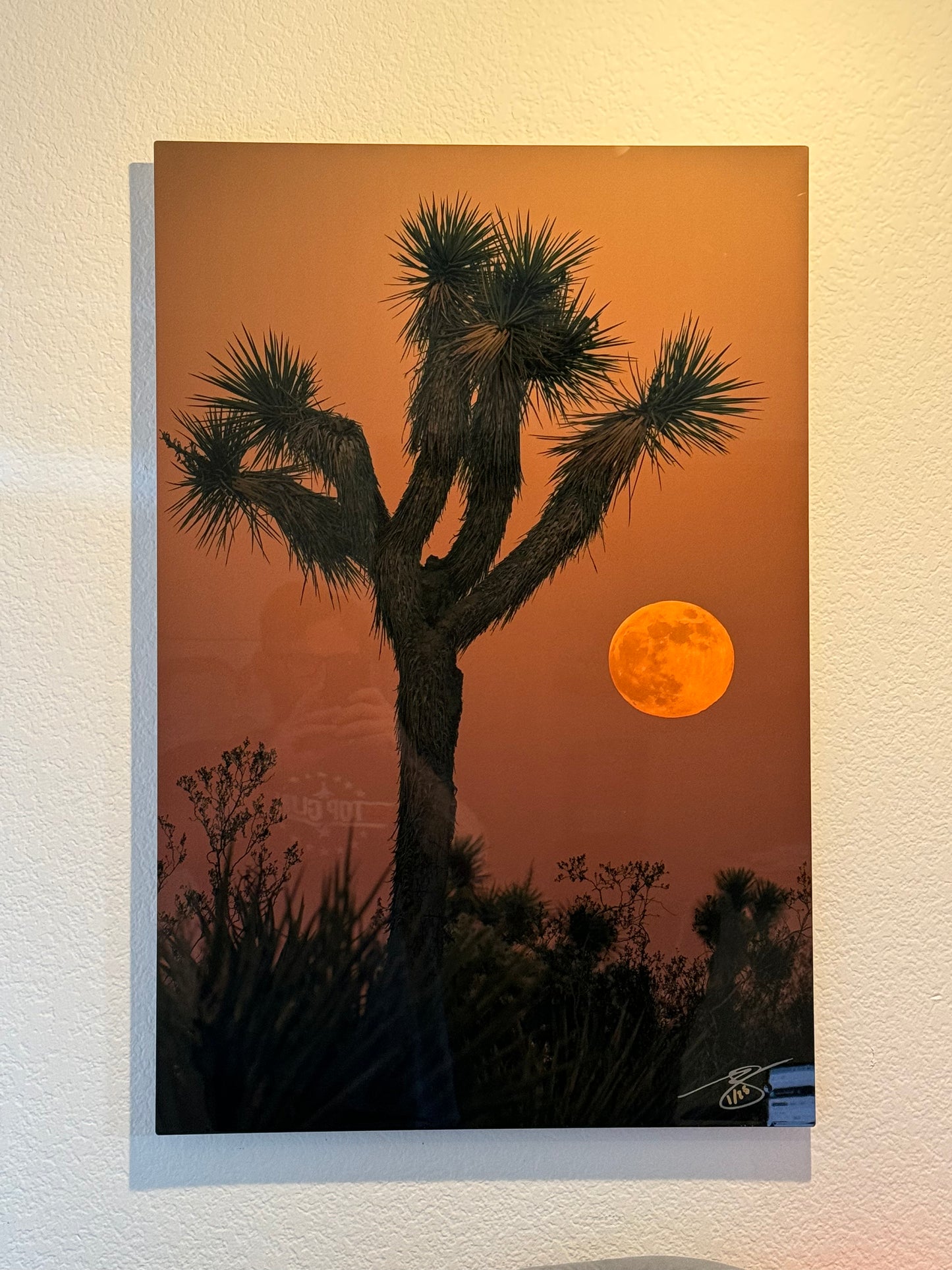 "Mooned by Joshua" 24x36" Metal (Local Pick-up only)