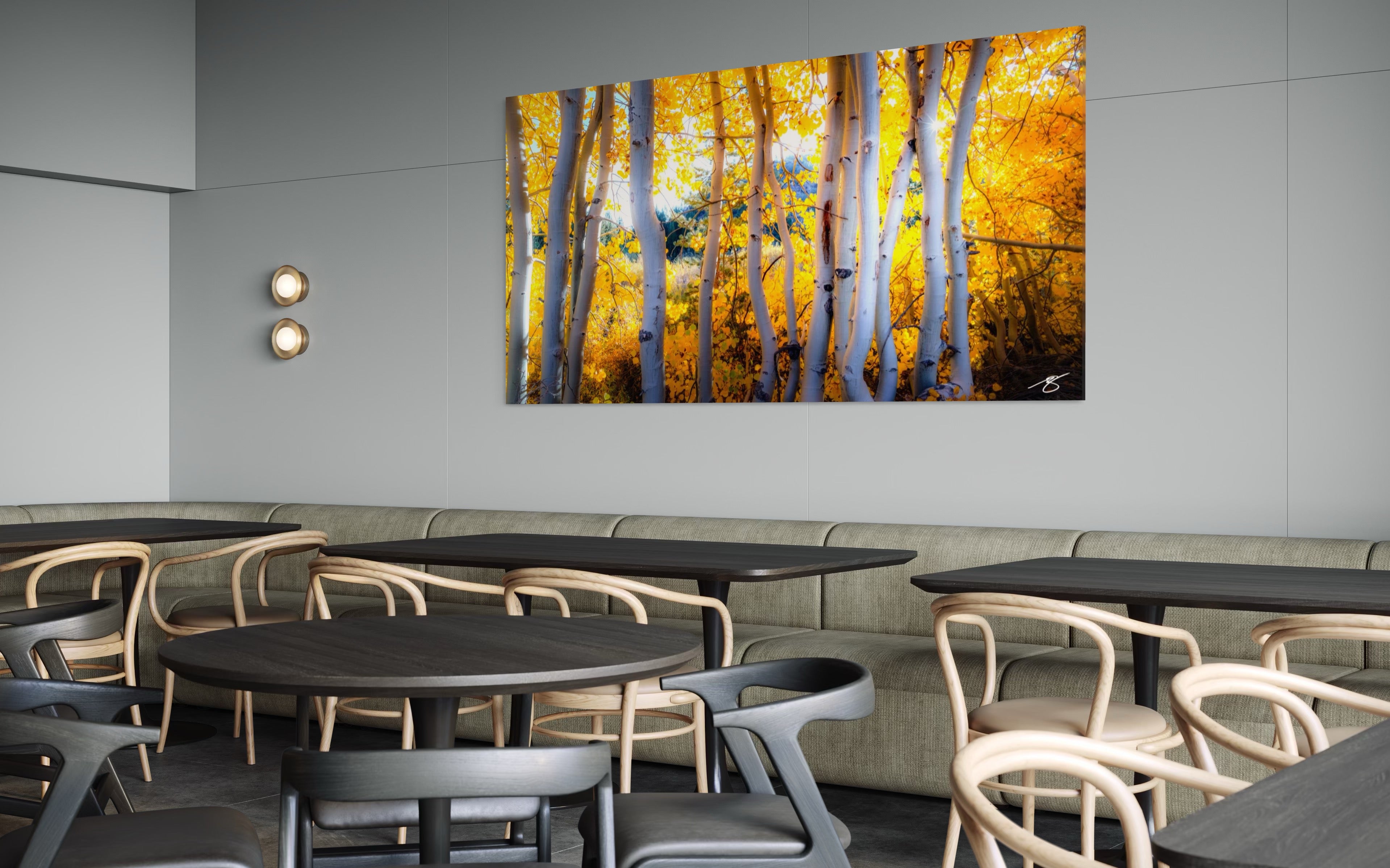 Golden Sierra Nevada aspens glowing in autumn light with white trunks, bright foliage, and sunlit forest atmosphere.