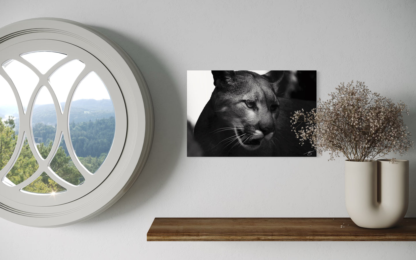 Mountain Lion