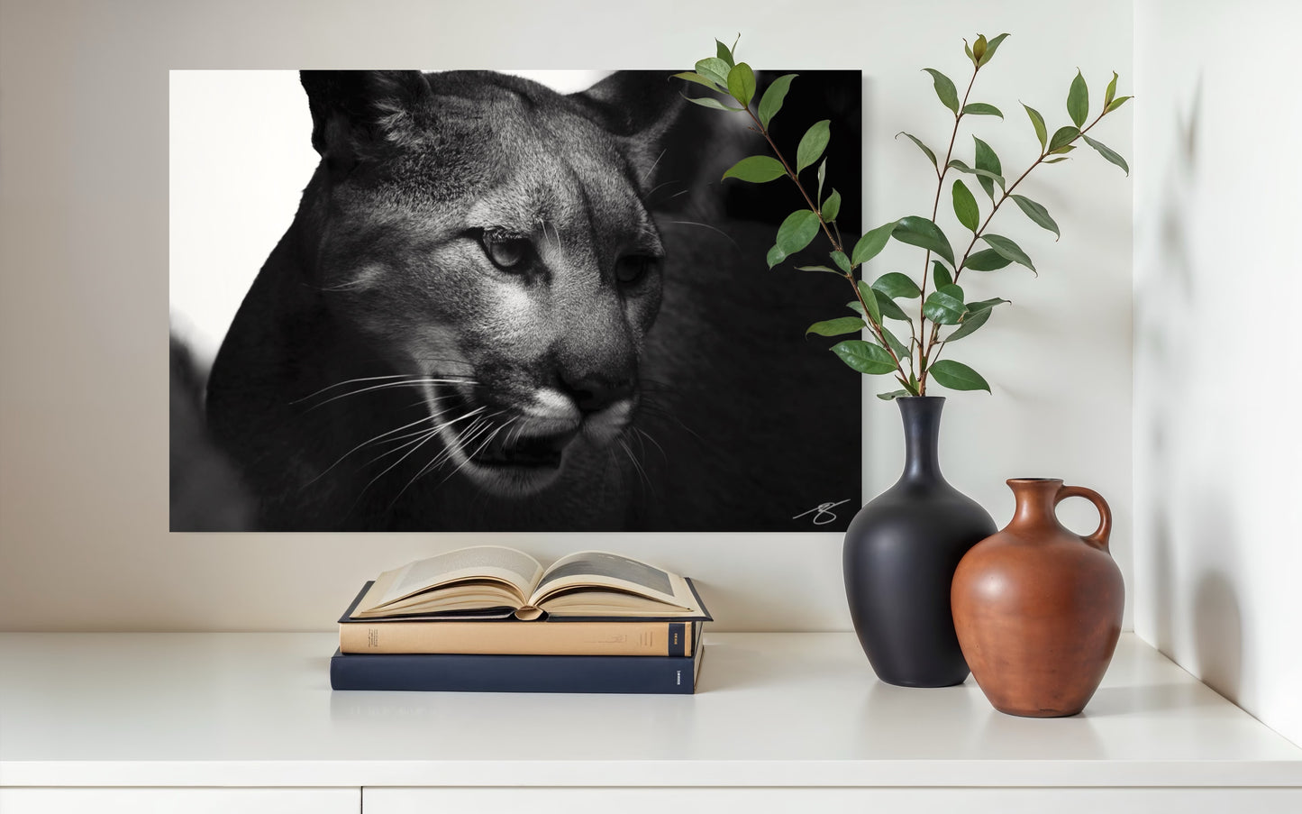 Mountain Lion