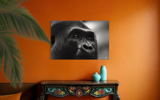 Gorilla (Female)