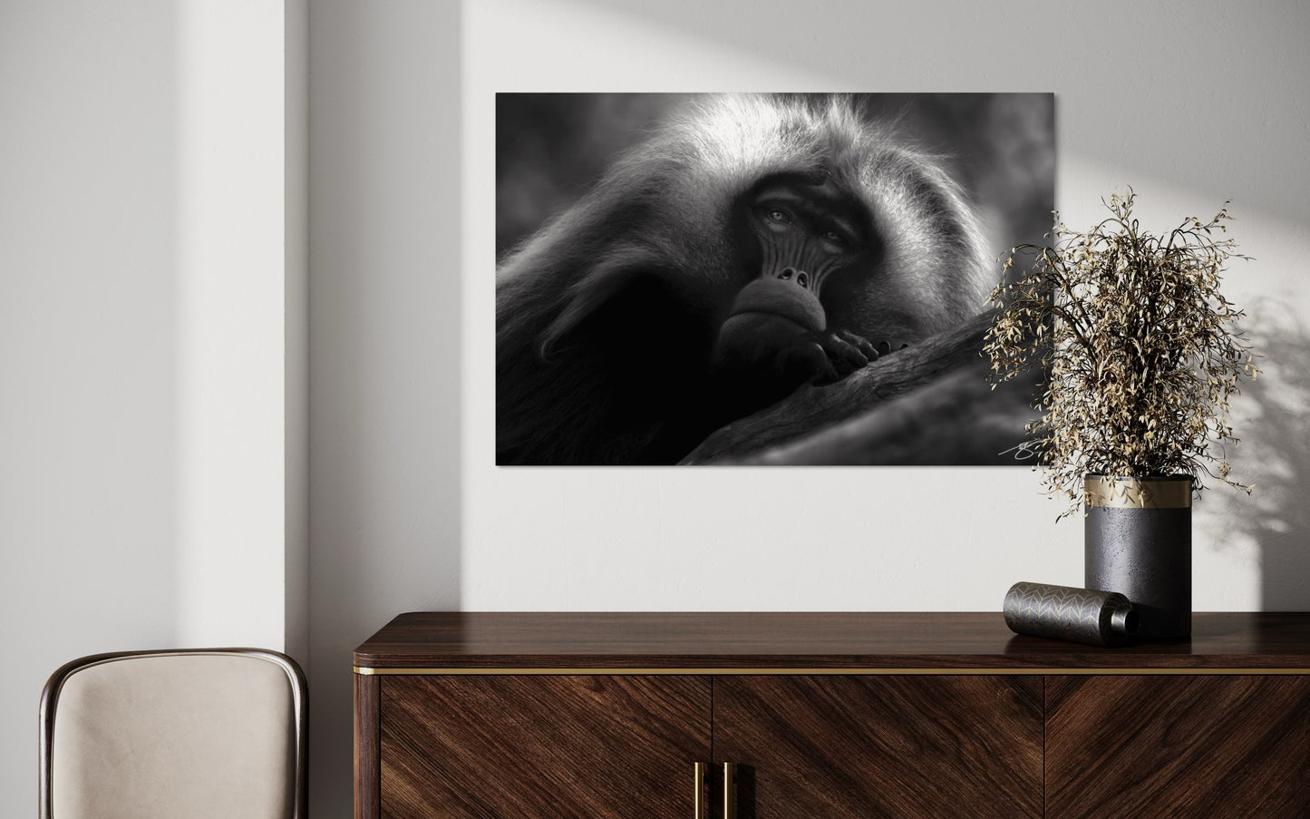 Gelada Baboon
