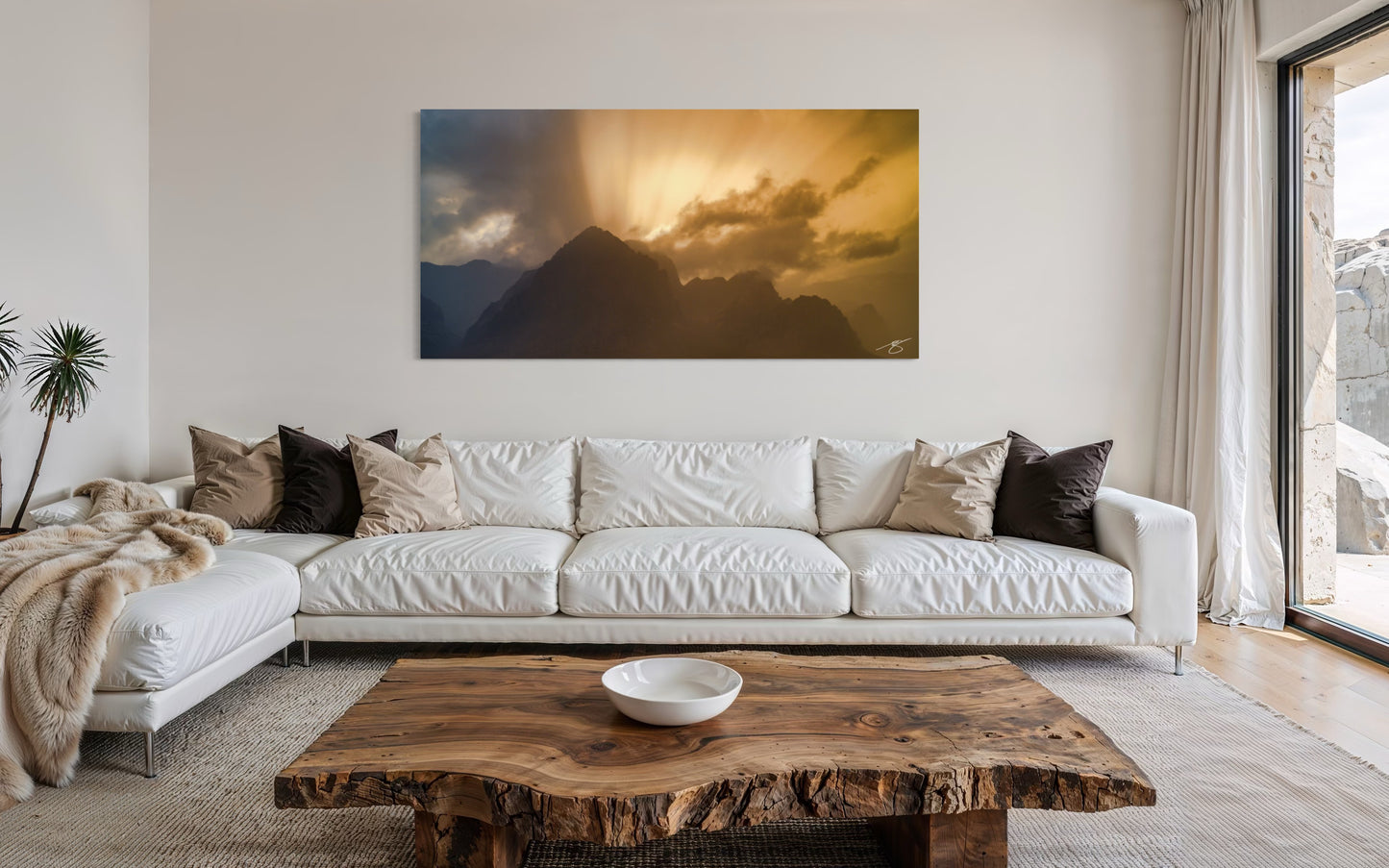 Ascension – Light After the Storm