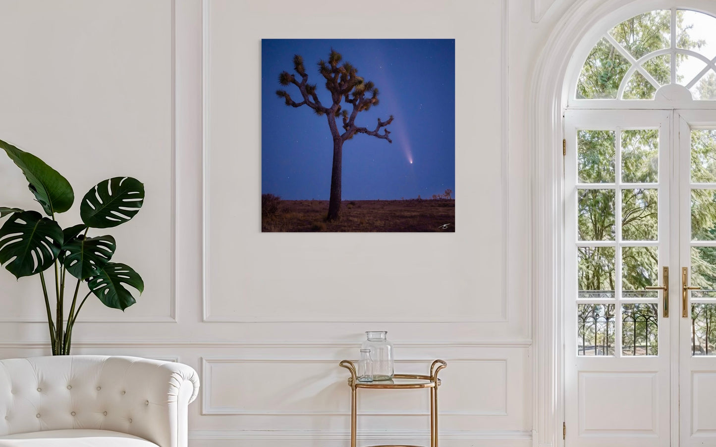 Framed artwork of a Joshua tree with a comet on a wall in a living room.