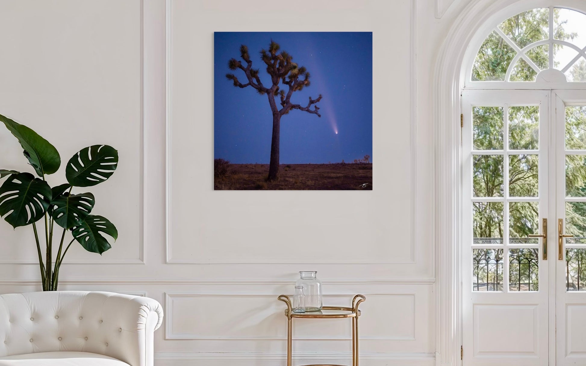 Framed artwork of a Joshua tree with a comet on a wall in a living room.