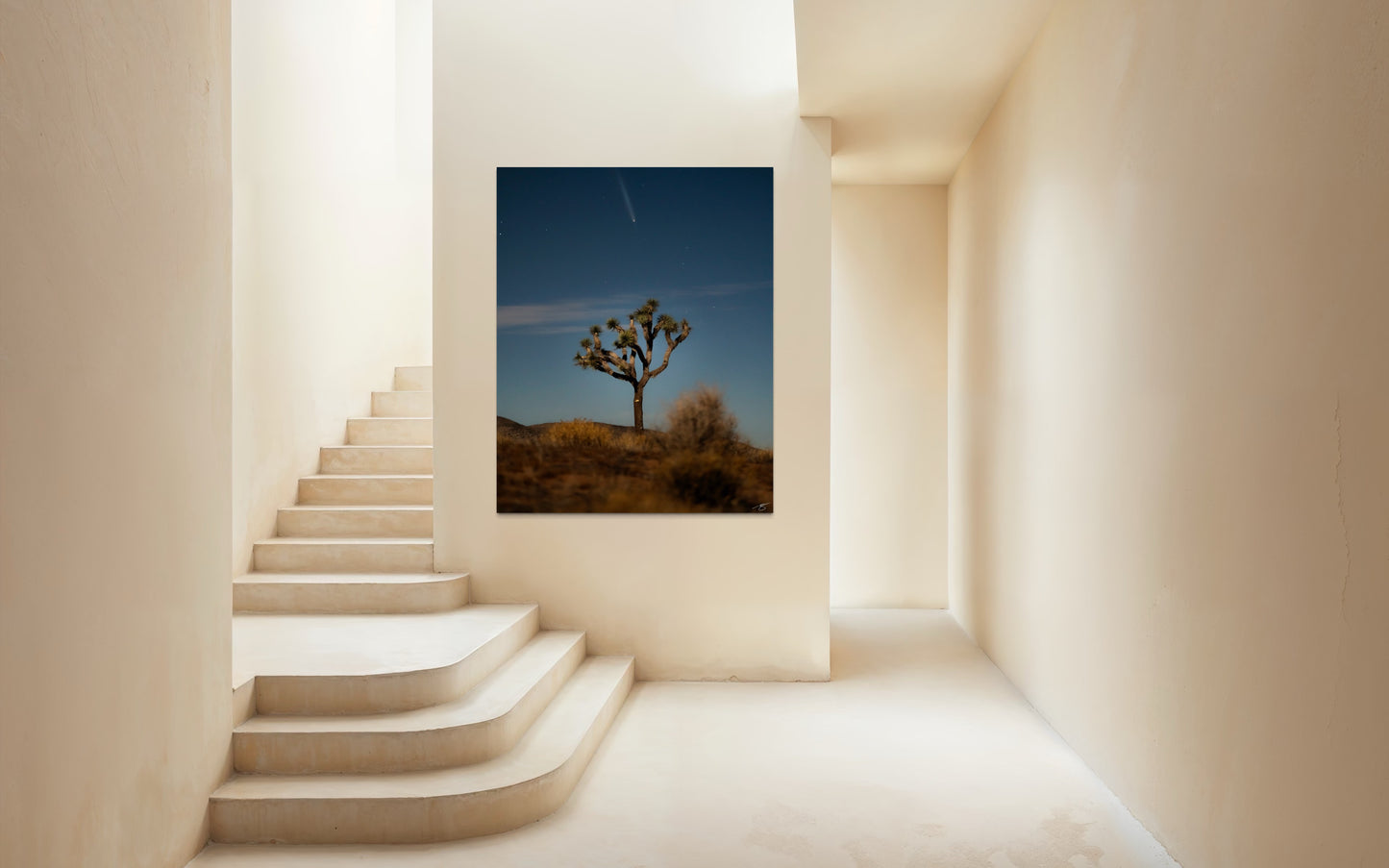 Joshua tree under a glowing comet in a clear desert night sky, captured in soft moonlight with subtle foreground desert tones.