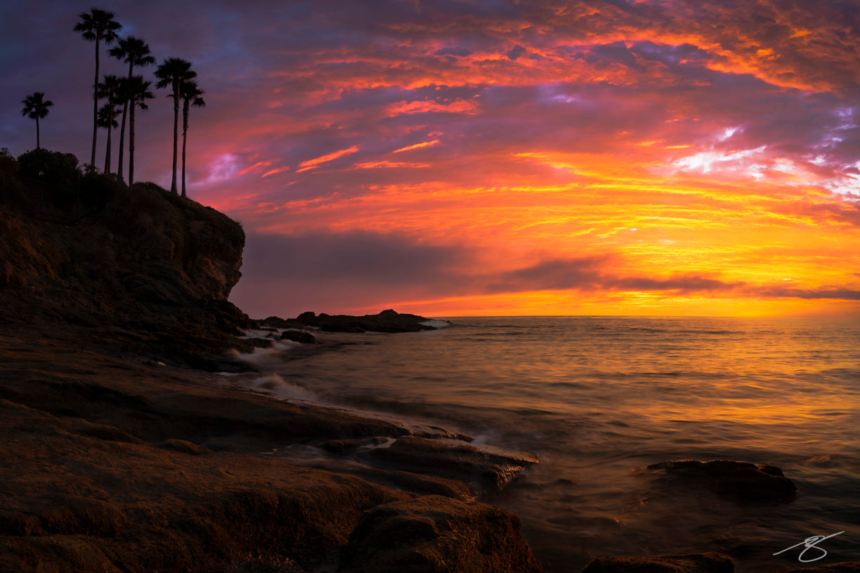 A dramatic fire-sky sunset at Laguna Beach, California, with vivid orange and magenta clouds illuminating the horizon. Silhouetted palm trees stand atop a coastal cliff while soft waves wash across the rocky shoreline in this fine art seascape.
