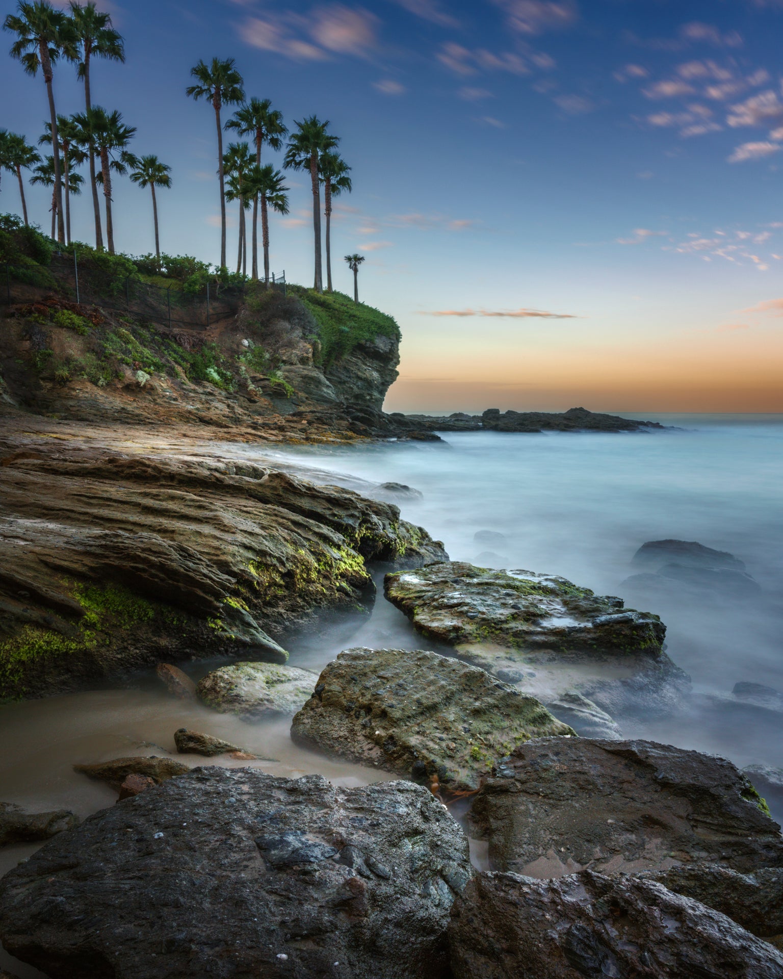 Long-exposure photo of Laguna Beach at dusk with a palm-lined cliff, smooth misty water, and moss-covered rocks under a blue and golden sky