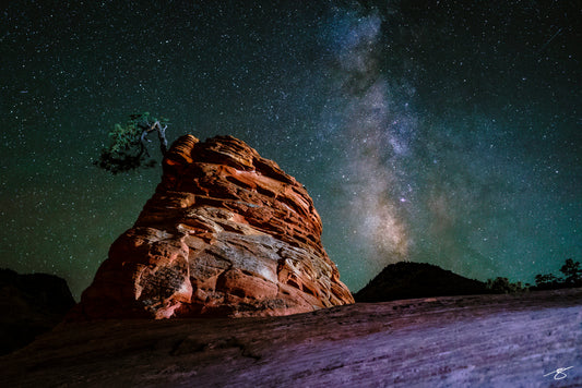 Milky Way shining above a lone pine on a red sandstone formation in Zion National Park, Utah, night sky filled with stars and textured desert rock in the foreground