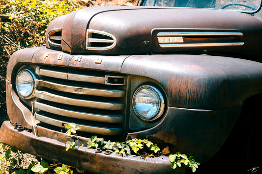 Fine art photo of a rusted vintage Ford truck with ivy and patina by Beau Jesse Johnston, Americana fine art photography.