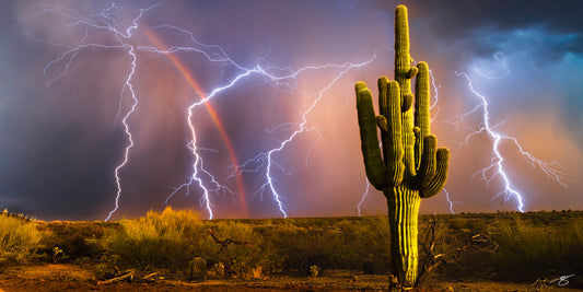 Fine art Arizona monsoon photograph with multiple lightning bolts illuminating a tall saguaro cactus. A rare rainbow glows behind the storm clouds, creating a dramatic and vibrant Sonoran Desert landscape filled with color, energy, and atmosphere.