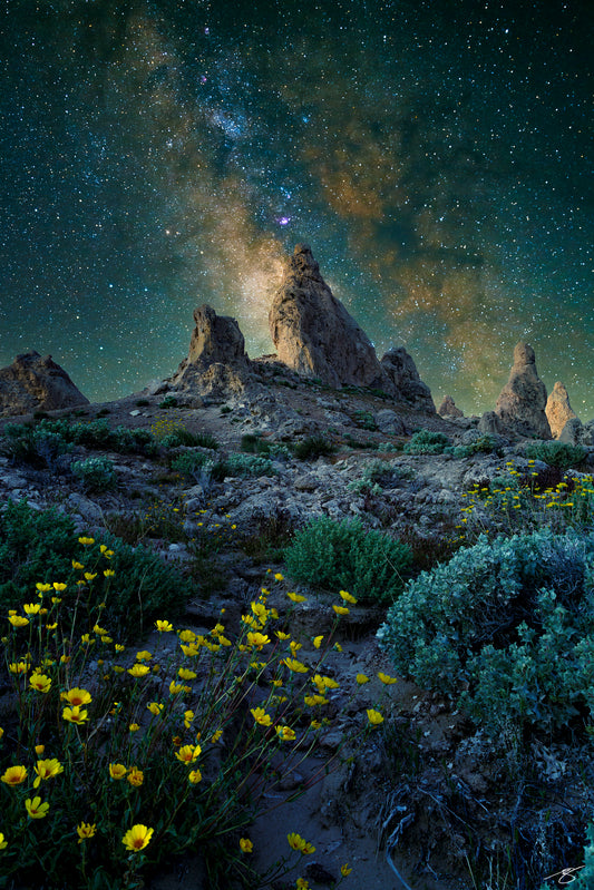 Fine art nightscape featuring the Milky Way rising above the Trona Pinnacles. Yellow wildflowers illuminate the rocky desert foreground while tufa spires reach toward the stars, creating a dramatic and serene astrophotography scene in California’s high desert.